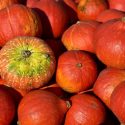 pumpkin-3636239_1920-1024x683-1200x900