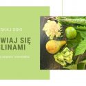 Odżywiaj się na wiosnę na maxa! Odżywiaj się na wiosnę na maxa!