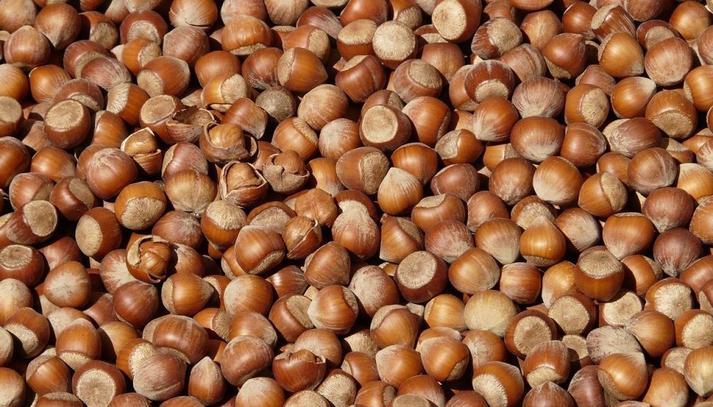 hazelnuts-73939_1280